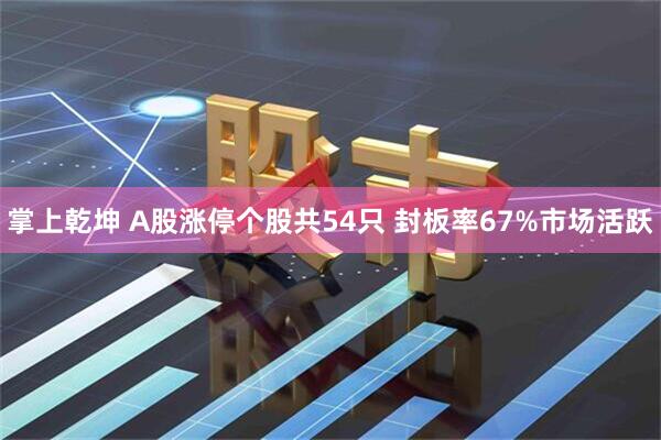 掌上乾坤 A股涨停个股共54只 封板率67%市场活跃