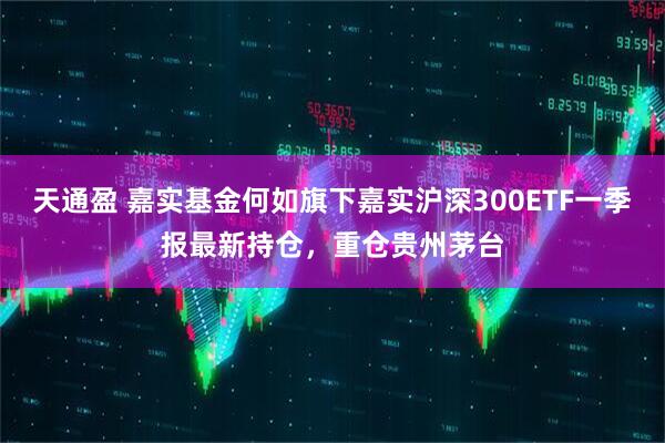天通盈 嘉实基金何如旗下嘉实沪深300ETF一季报最新持仓，重仓贵州茅台